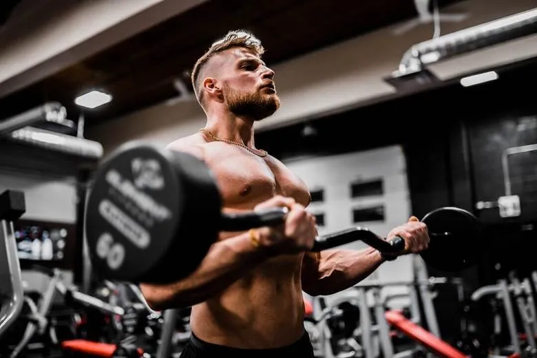 Muscle