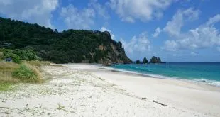 north island billetter og adgangskort