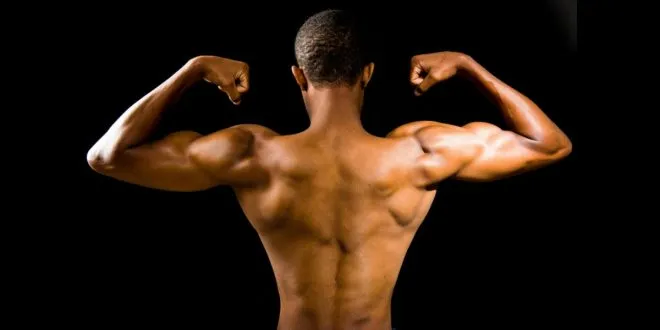 Tips to Increase Muscle Mass