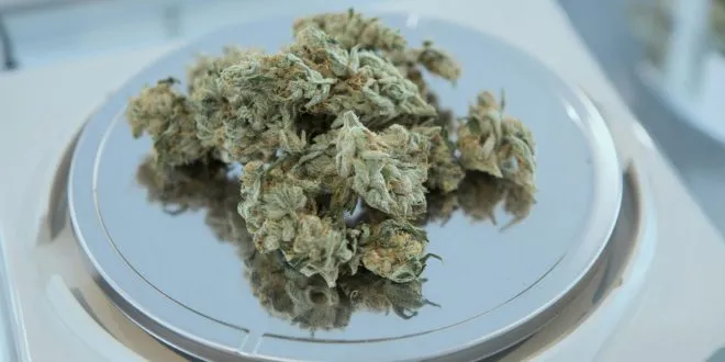 Weed