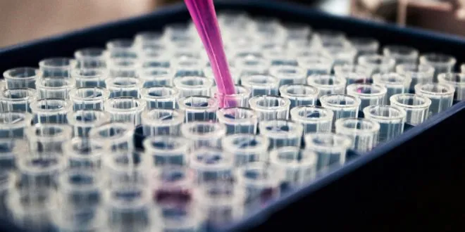 Drug Research