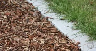 Mulching