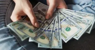 Earn Money with Zingyzon