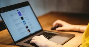 Zingyzon Digital Marketing Seo Strategy