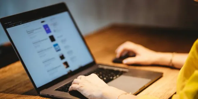 Zingyzon Digital Marketing Seo Strategy