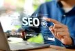Professional SEO Service
