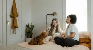 Challenges of Owning Pets