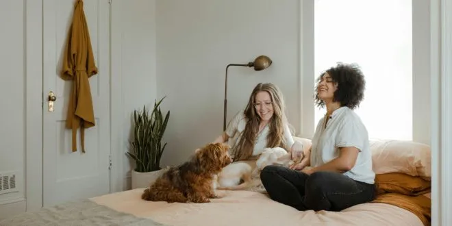 Challenges of Owning Pets