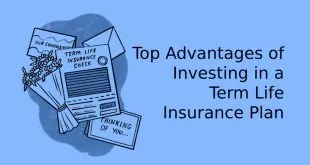 Term Life Insurance Plan