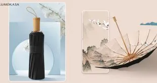 Foldable Parasols Kumokasa