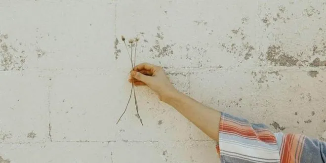 DIY Wall Painting Design