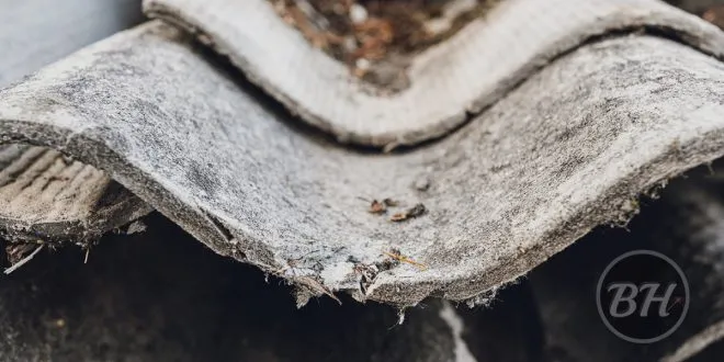 Asbestos