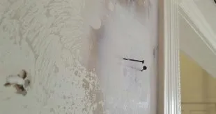 Mold