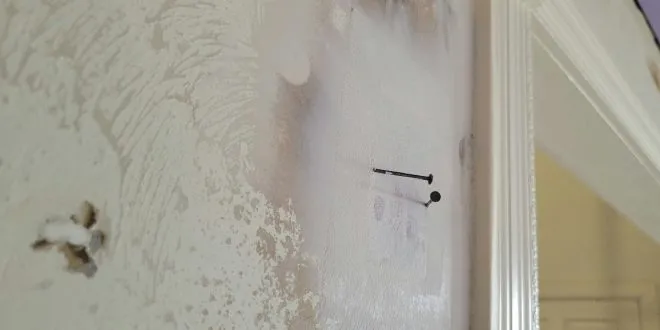 Mold