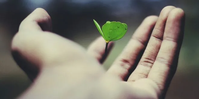 Personal Growth