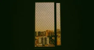 Window Film