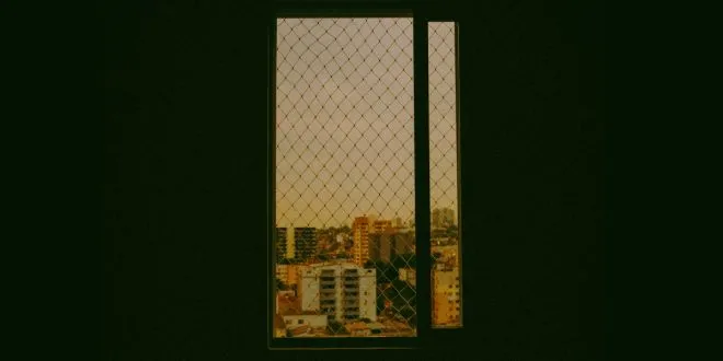 Window Film