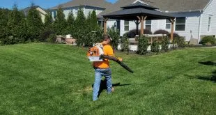 Landscaping