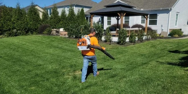 Landscaping