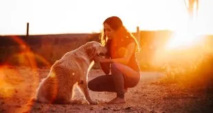 Keep Your Pups Healthy