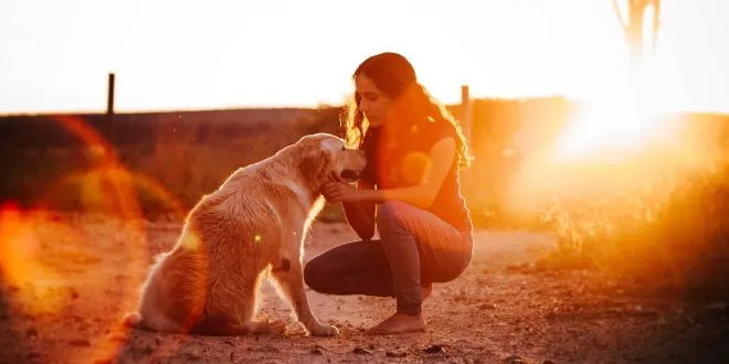 Keep Your Pups Healthy