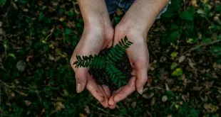 Environmental Sustainability