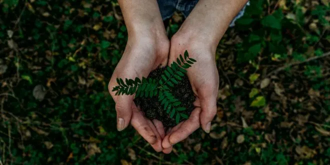 Environmental Sustainability